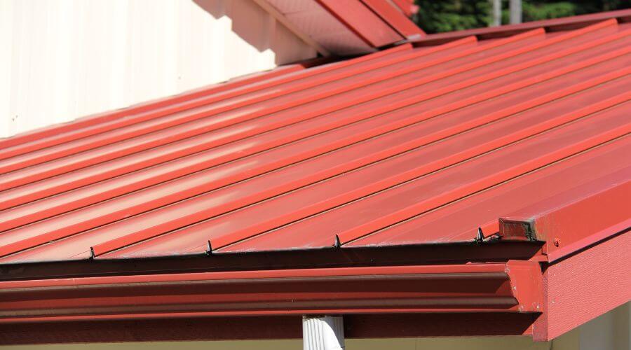 Professional gutter cleaning in Florida